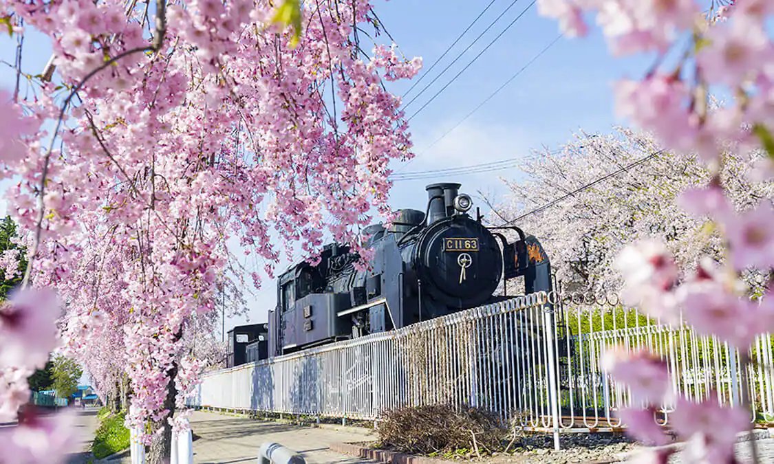 🚴 닛추선 기념 자전거·보행자 도로 (닛추센 키넨 지텐샤 호코샤도) 이미지 9